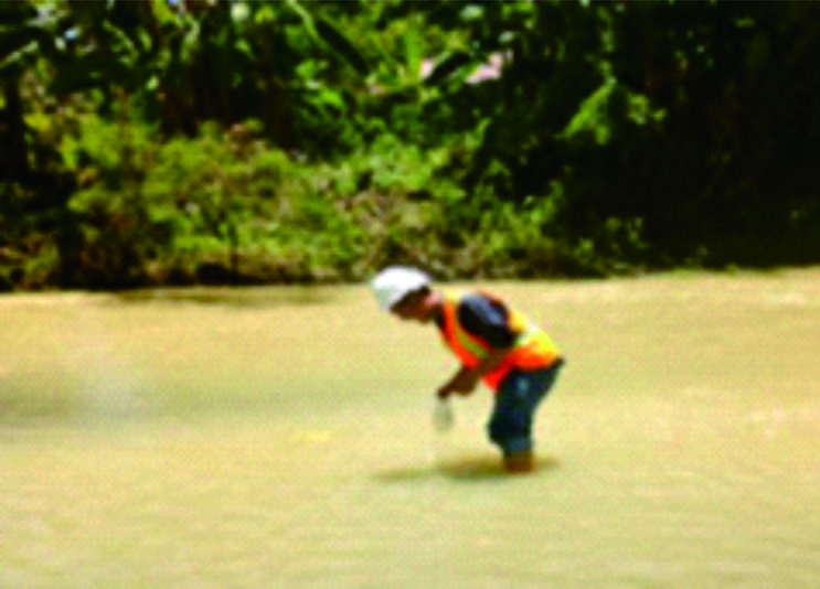 Environmental Assessment for Consulting Services for Technical Assistance for Jatiluhur Irrigation Management Improvement Study.