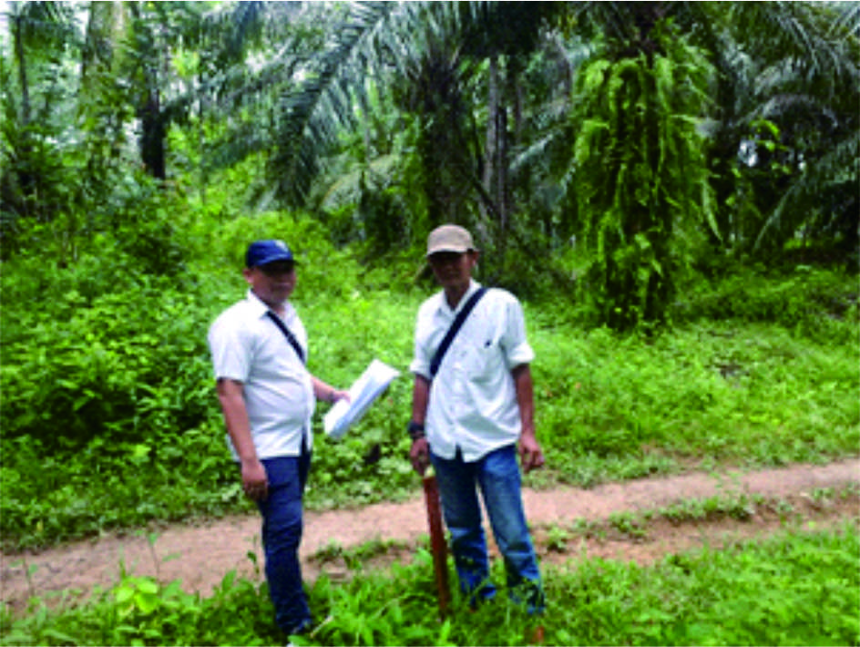 Environmental Impact Assessment for Binjai - North Sumatra Province Border Highways in North Sumatera Province.